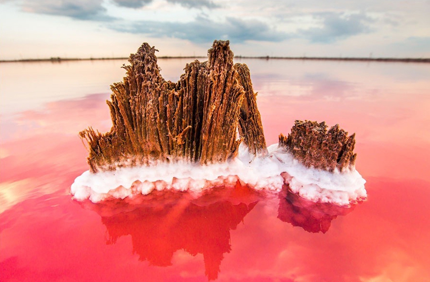 Lago salado Moinákskiy en la península Crimea en Ucrania4