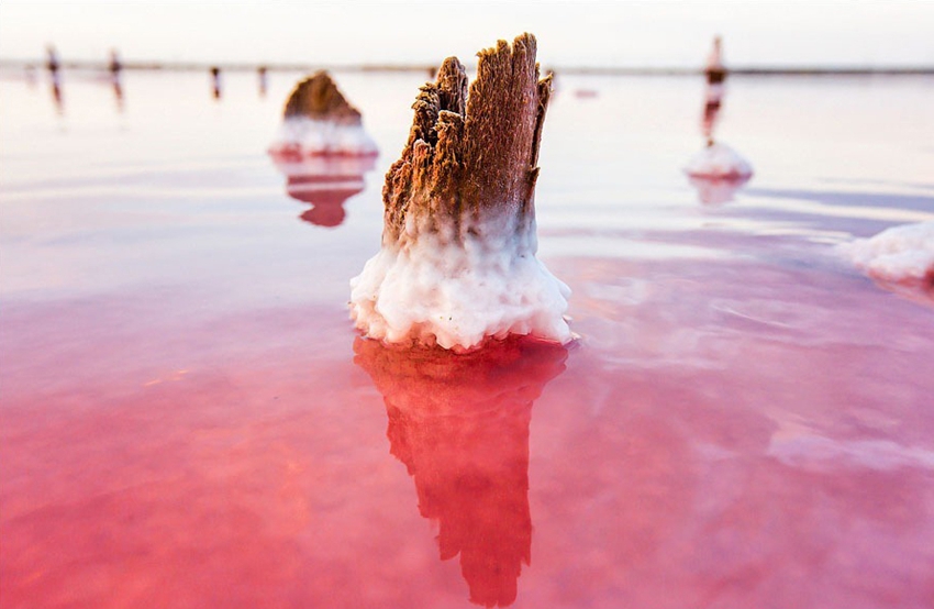 Lago salado Moinákskiy en la península Crimea en Ucrania3