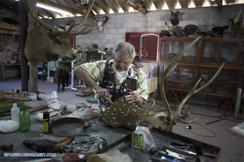 Argentina: Taxidermista Pedro Damonte y su taller en Carlos Spegazzini