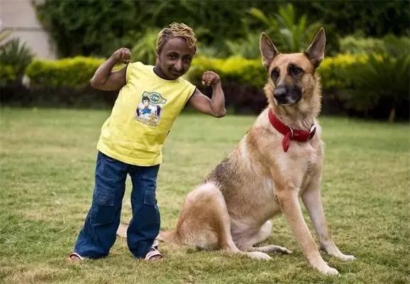 El hombre musculoso más enano del mundo