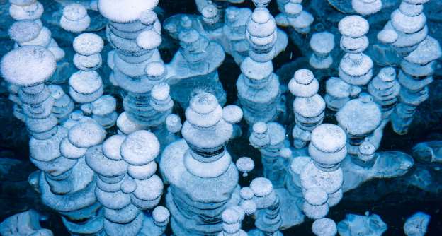 15 fenómenos increíbles causados por el frío