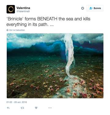 15 fenómenos increíbles causados por el frío