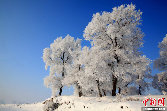 La belleza de cencellada dura en la ciudad china Jilin 3