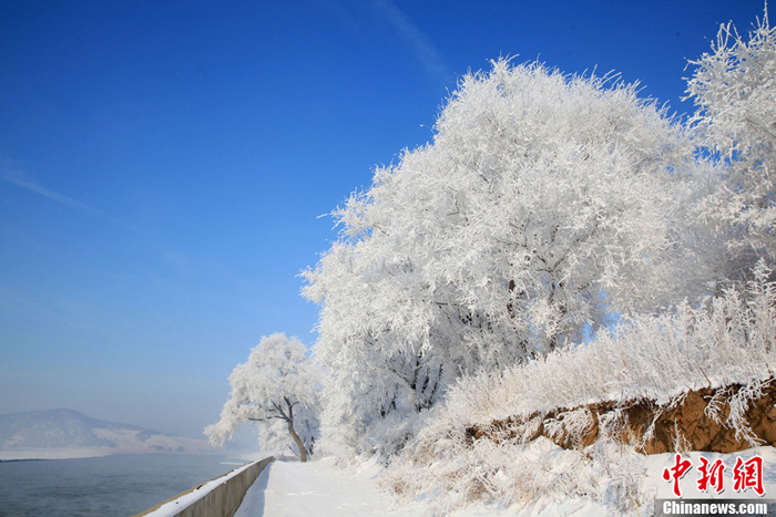 La belleza de cencellada dura en la ciudad china Jilin 4