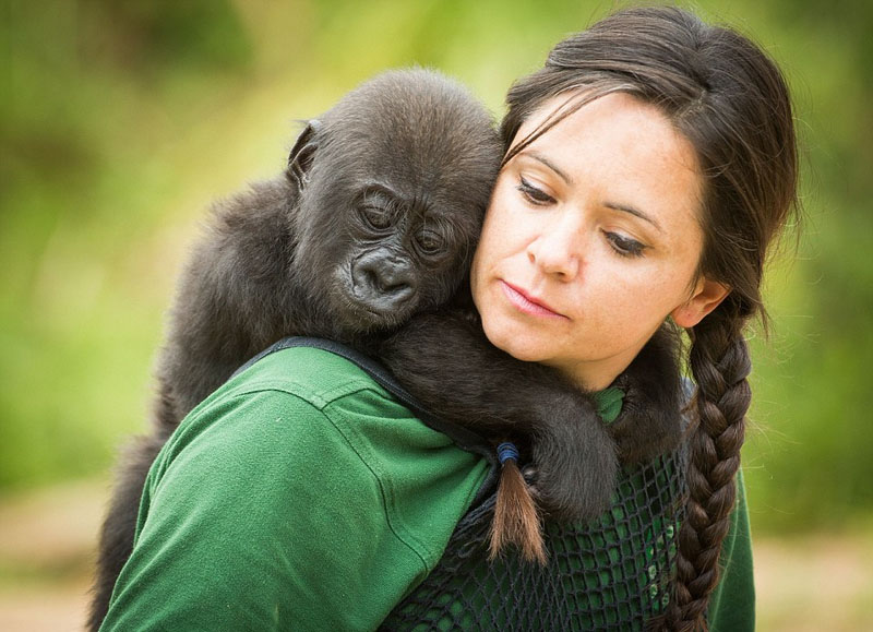 Fotos anuales que revelan la armonía entre el ser humano y los animales 1