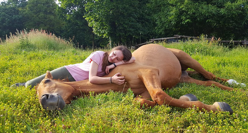 Fotos anuales que revelan la armonía entre el ser humano y los animales 2
