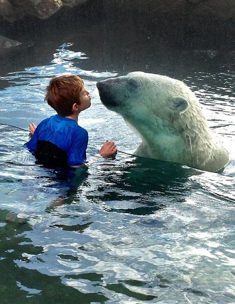 Fotos anuales que revelan la armonía entre el ser humano y los animales 8