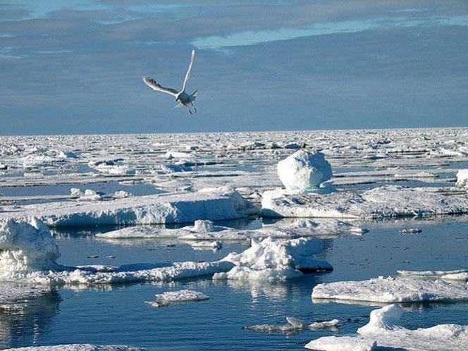 El cambio climático amenaza el ecosistema ártico