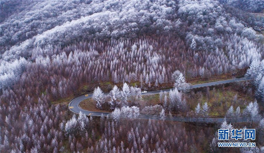 Paisaje de invierno del Distrito Forestal Shennongjia 
