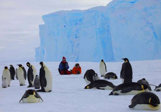 Whichaway Camp: un lujoso hotel para convivir con los pingüinos emperador3
