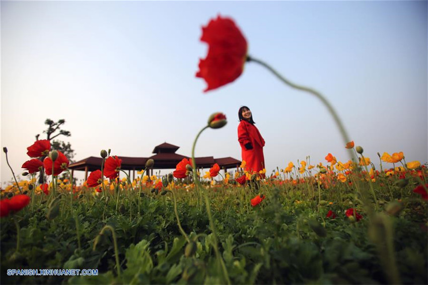 Llega la primavera: Paisaje primaveral de China