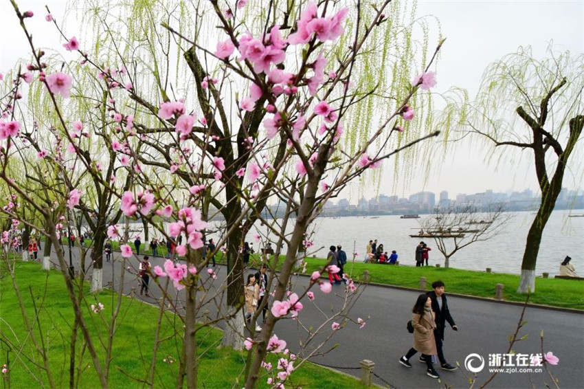 La primavera llega al Lago de Oeste de Hangzhou