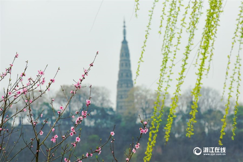 La primavera llega al Lago de Oeste de Hangzhou