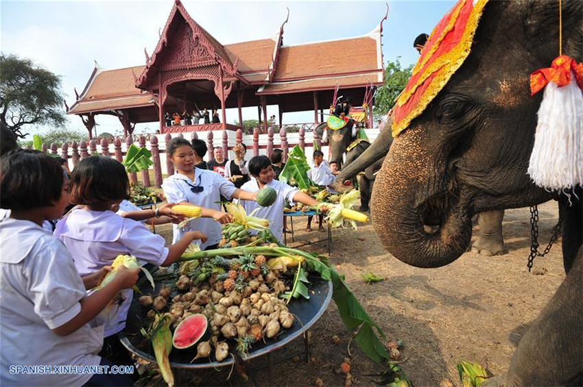 Evento para conmemorar el Día Nacional del Elefante de Tailandia en Ayutthaya