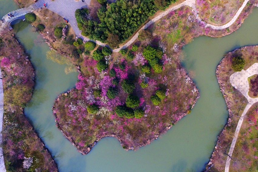 El encanto primaveral del Lago del Oeste 3