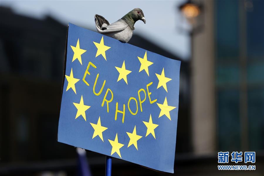 Marchas contra el Brexit y a favor de una nueva Europa7