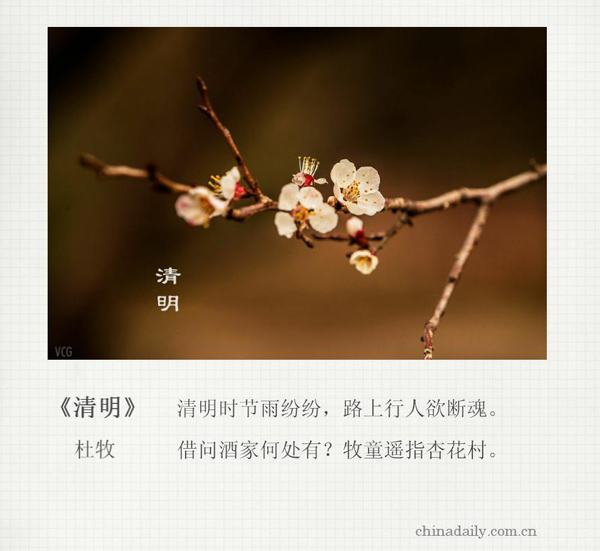 El Festival Qingming en la poesía china antigua