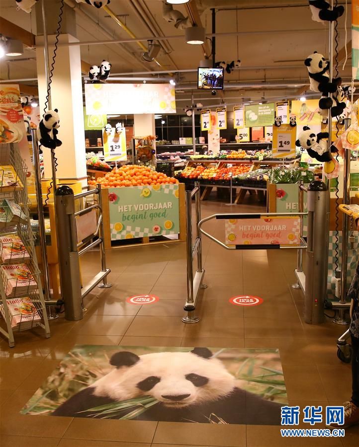 Surge fiebre por panda gigante en Rhenen de Países Bajos