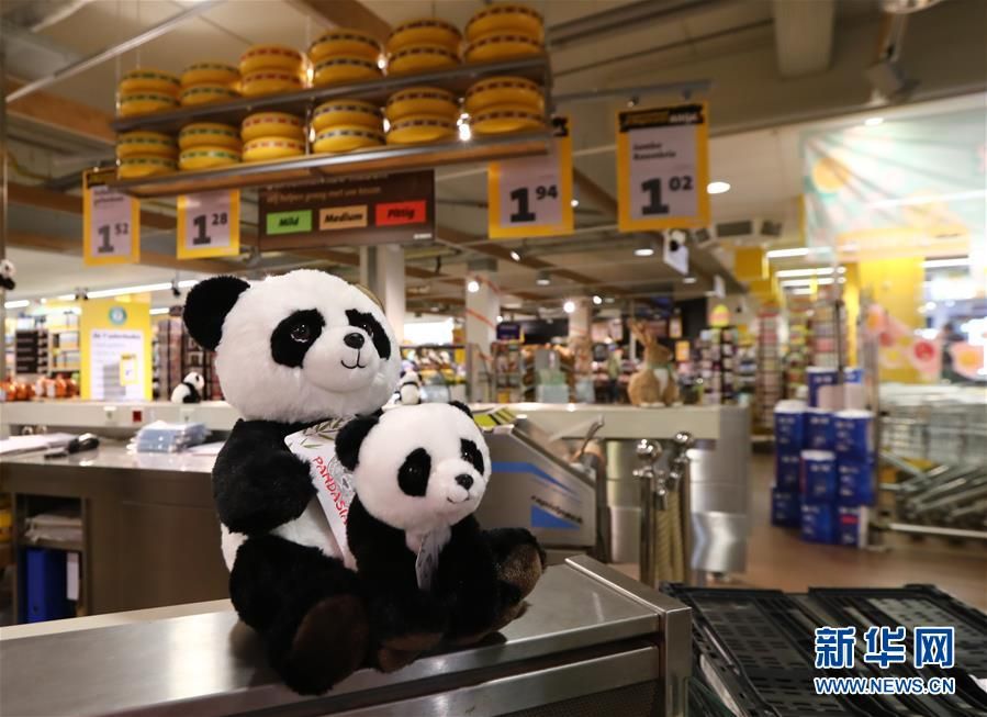 Surge fiebre por panda gigante en Rhenen de Países Bajos