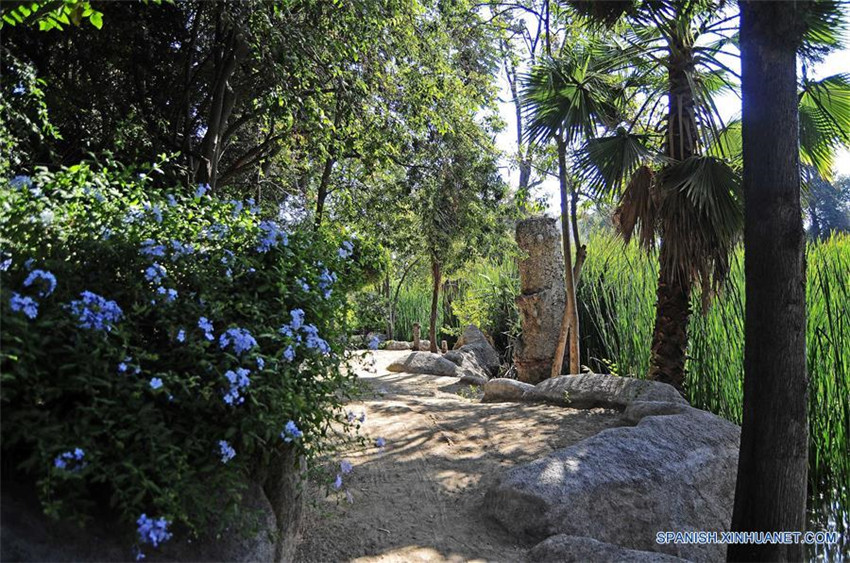 Chile: Jardín Chino en Santiago
