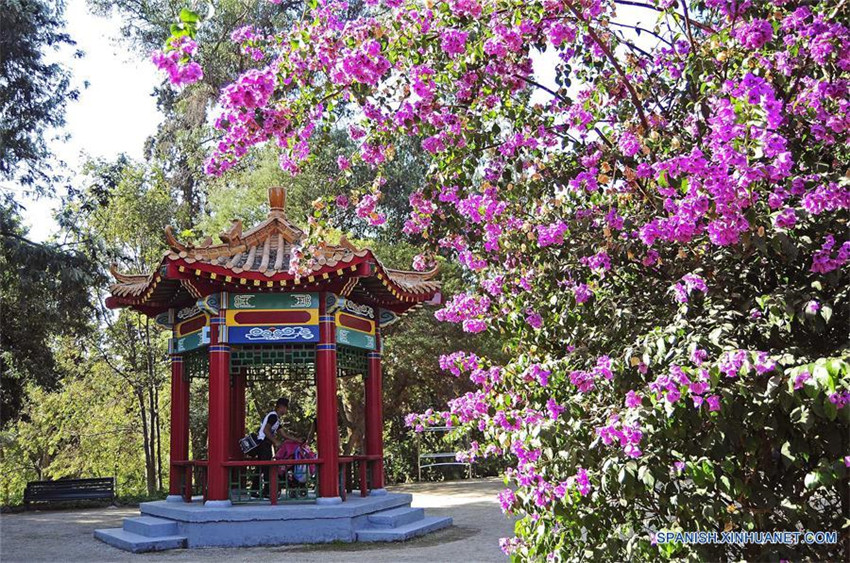 Chile: Jardín Chino en Santiago