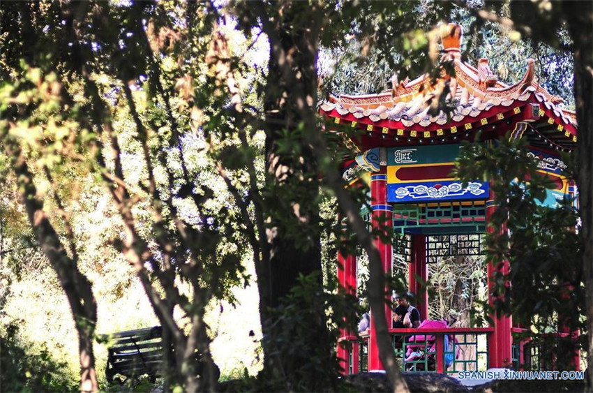 Chile: Jardín Chino en Santiago