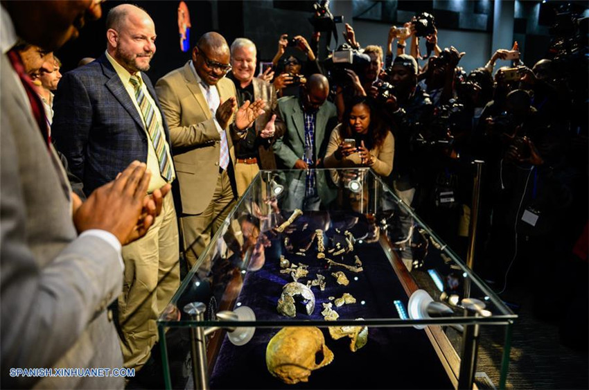 Homo naledi: nueva especie de homínido que vivió hace entre 335,000 y 236,000 años