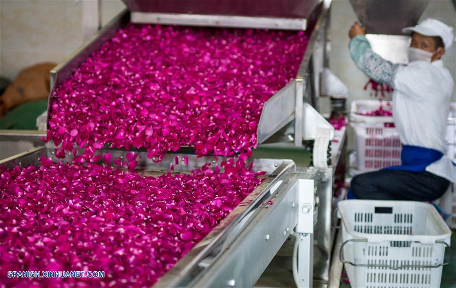 Yunnan: Platillos con rosas comestibles en Anning