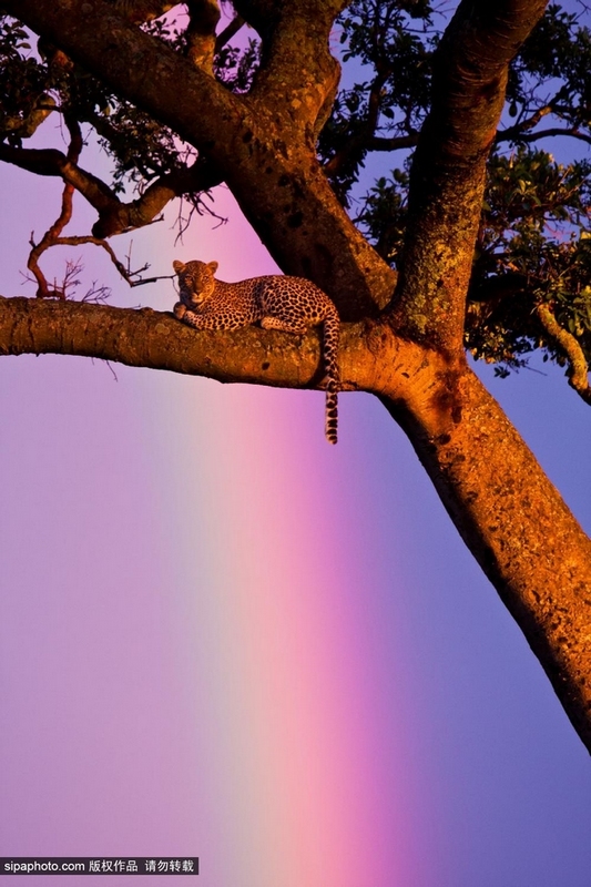 Paisajes más hermosos de arco iris