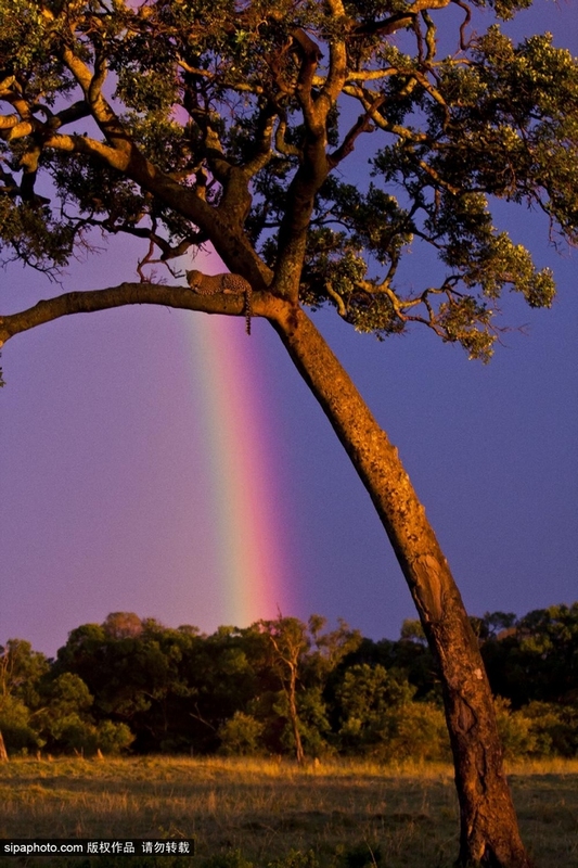 Paisajes más hermosos de arco iris