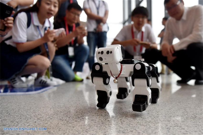 La cuarta Cumbre del Robot de China