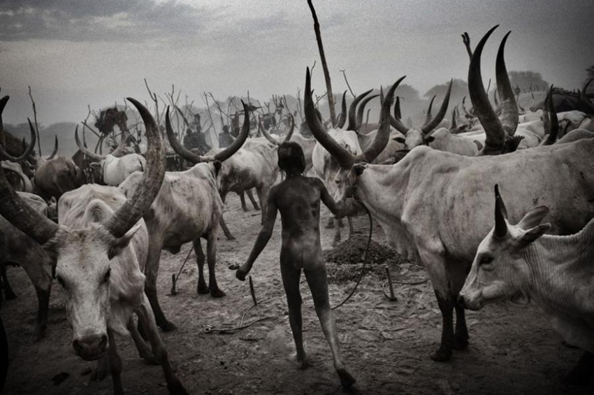 África a través de la lente de un fotógrafo ruso6
