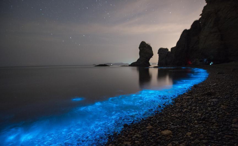 ¡Galaxia en la Tierra! Una playa al noreste de China presenta maravillosa escena3
