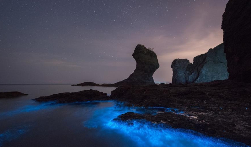 ¡Galaxia en la Tierra! Una playa al noreste de China presenta maravillosa escena1