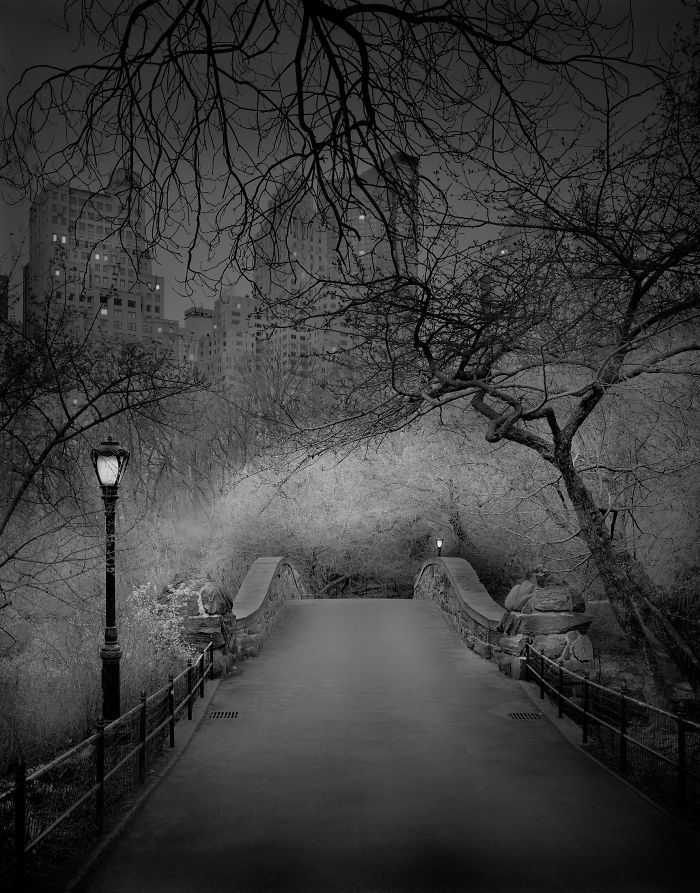 Un fotógrafo con insomnio capta evocadoras imágenes de Central Park cuando no hay gente