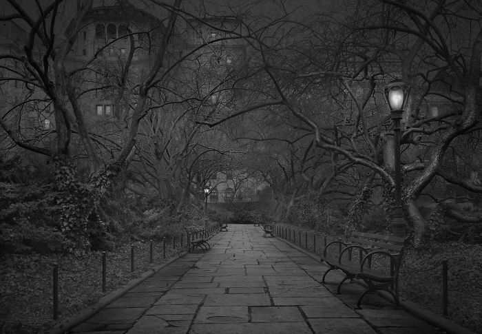 Un fotógrafo con insomnio capta evocadoras imágenes de Central Park cuando no hay gente