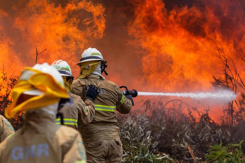 Infierno en Portugal, uno de los peores incendios de la historia9