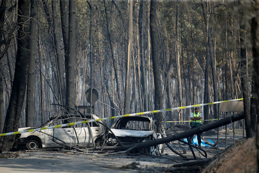 Infierno en Portugal, uno de los peores incendios de la historia7