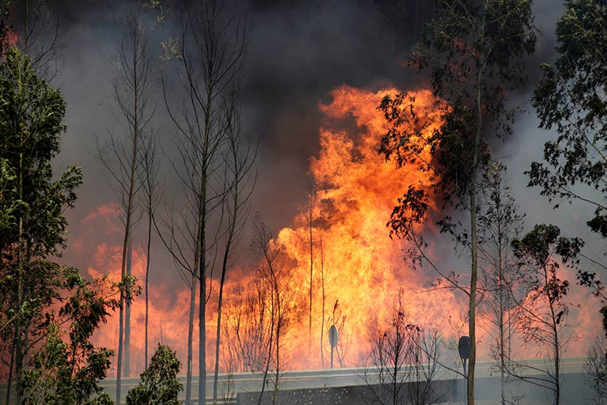 Infierno en Portugal, uno de los peores incendios de la historia6