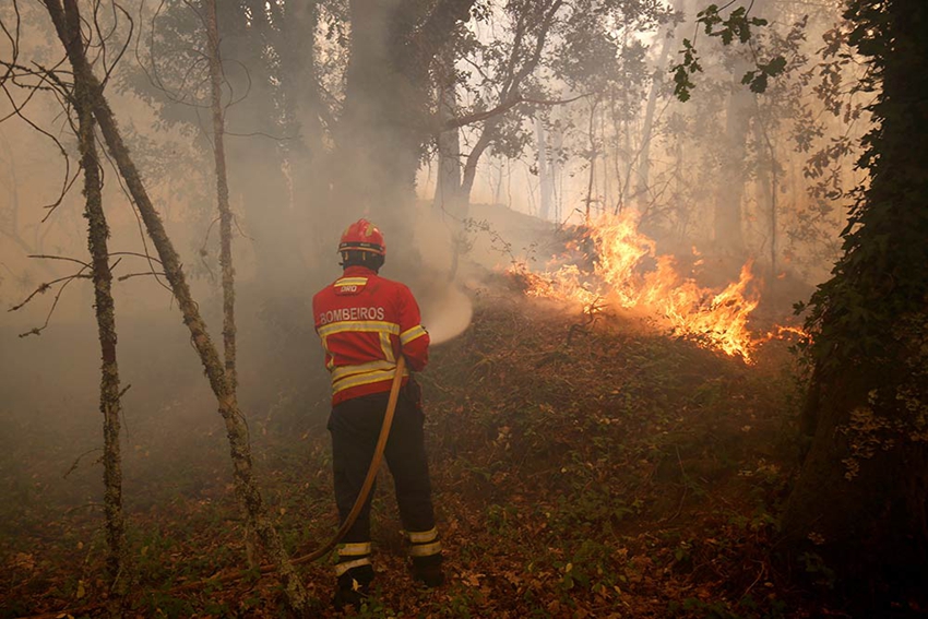 Infierno en Portugal, uno de los peores incendios de la historia5