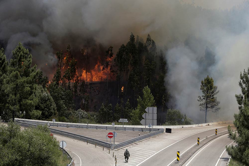 Infierno en Portugal, uno de los peores incendios de la historia1