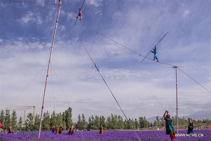 Arranca el Séptimo Festival de Turismo de Lavanda en Xinjiang 1