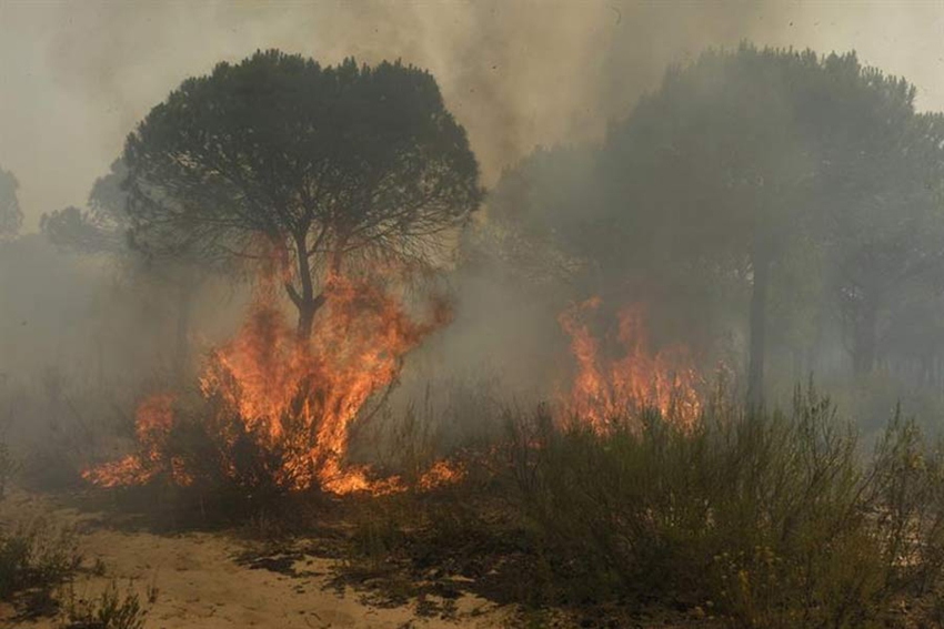 Incendio amenaza área protegida en España5