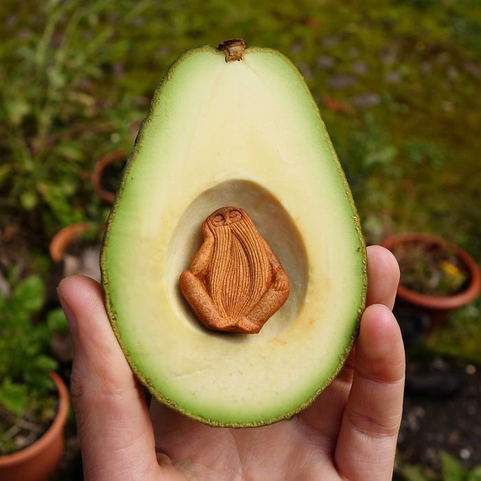 Artista talla las semillas de aguacate en criaturas del bosque mágico