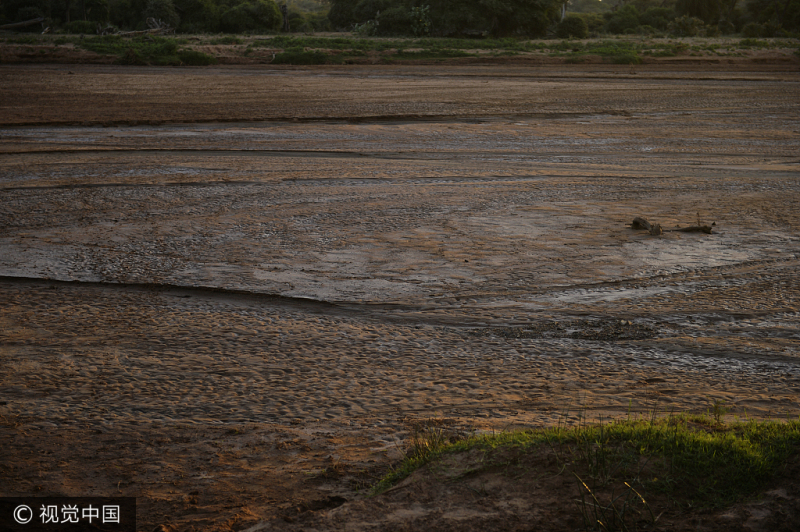 Animales salvajes en el norte de Kenia sufren mucho por la causa de sequía