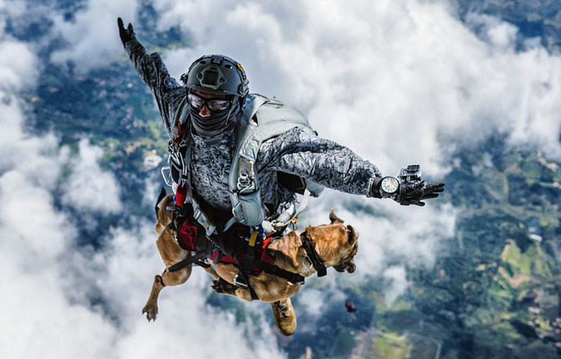 Siara el perro paracaidista que se gradúa en la Fuerza Aérea6