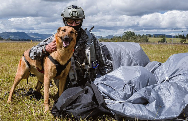 Siara el perro paracaidista que se gradúa en la Fuerza Aérea3