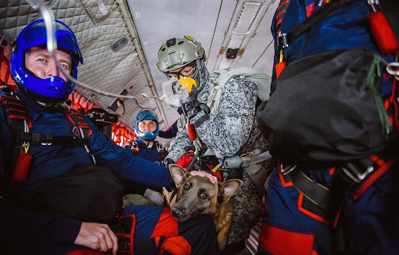 Siara el perro paracaidista que se gradúa en la Fuerza Aérea2