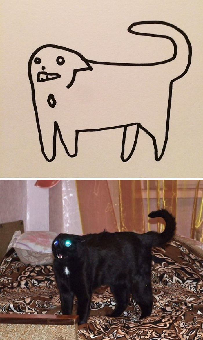 Dibujo realista de los gatos