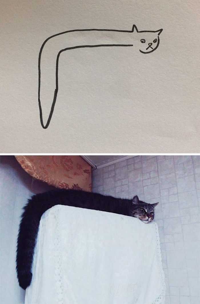 Dibujo realista de los gatos